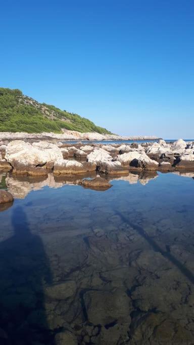 Apartment Kristic - Saplunara, Mljet Babino Polje Exterior photo